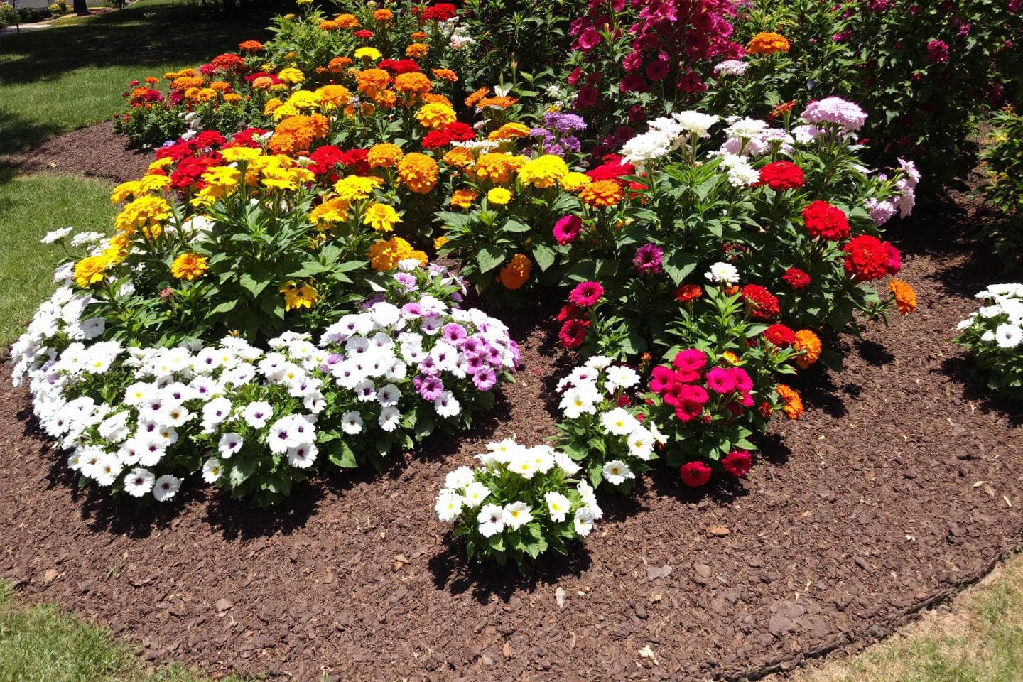 How to Make a Flower Bed: Beginner's Guide