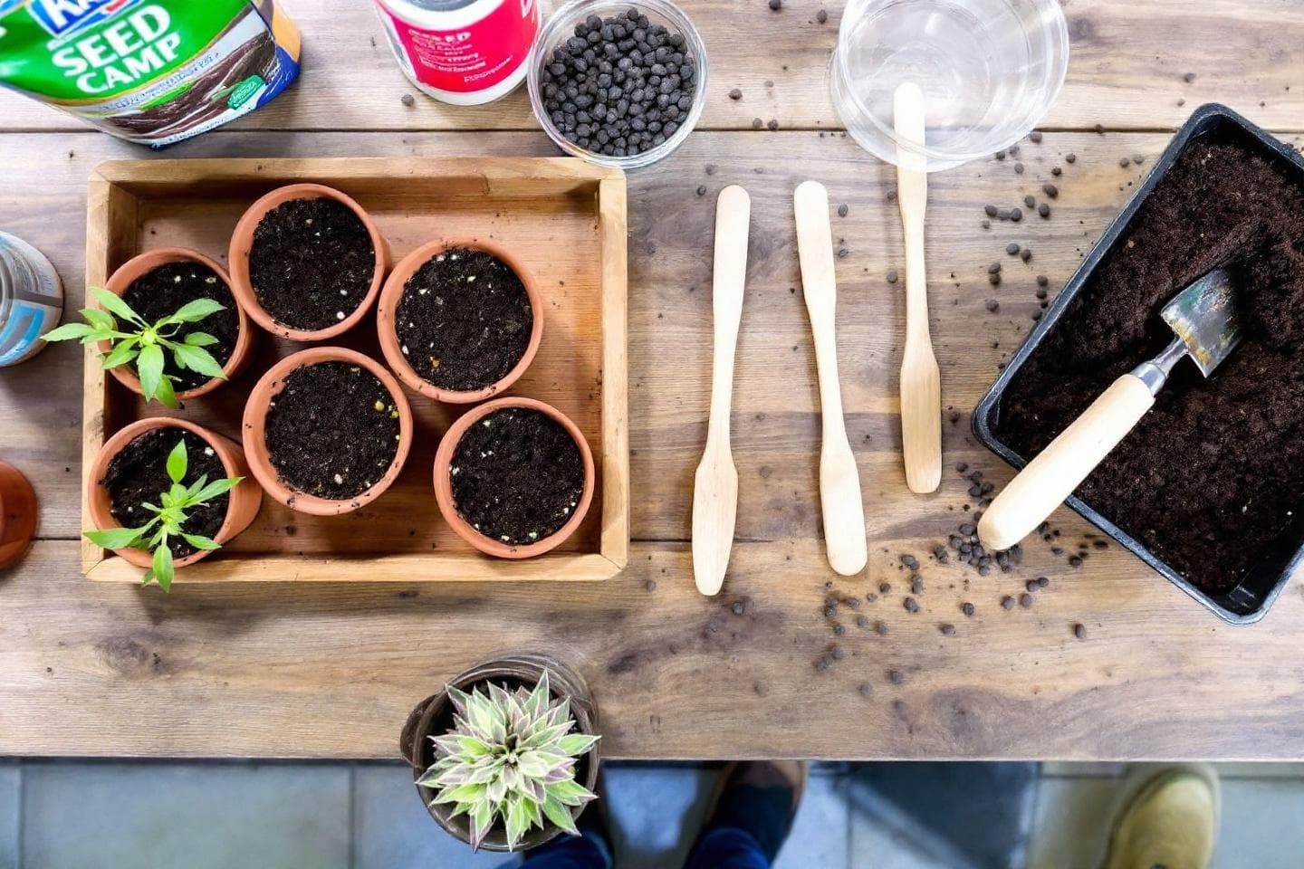 Terracotta pots with soil and trowel for seed starting