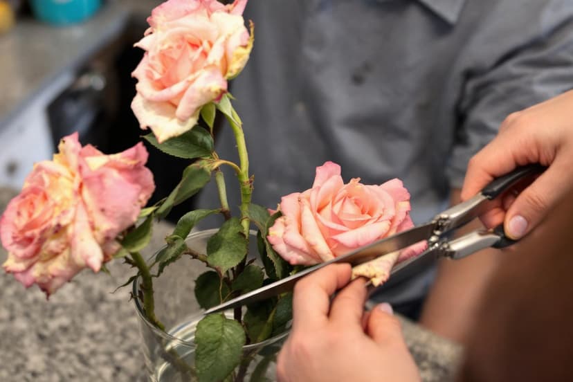 Revive Wilting Flowers