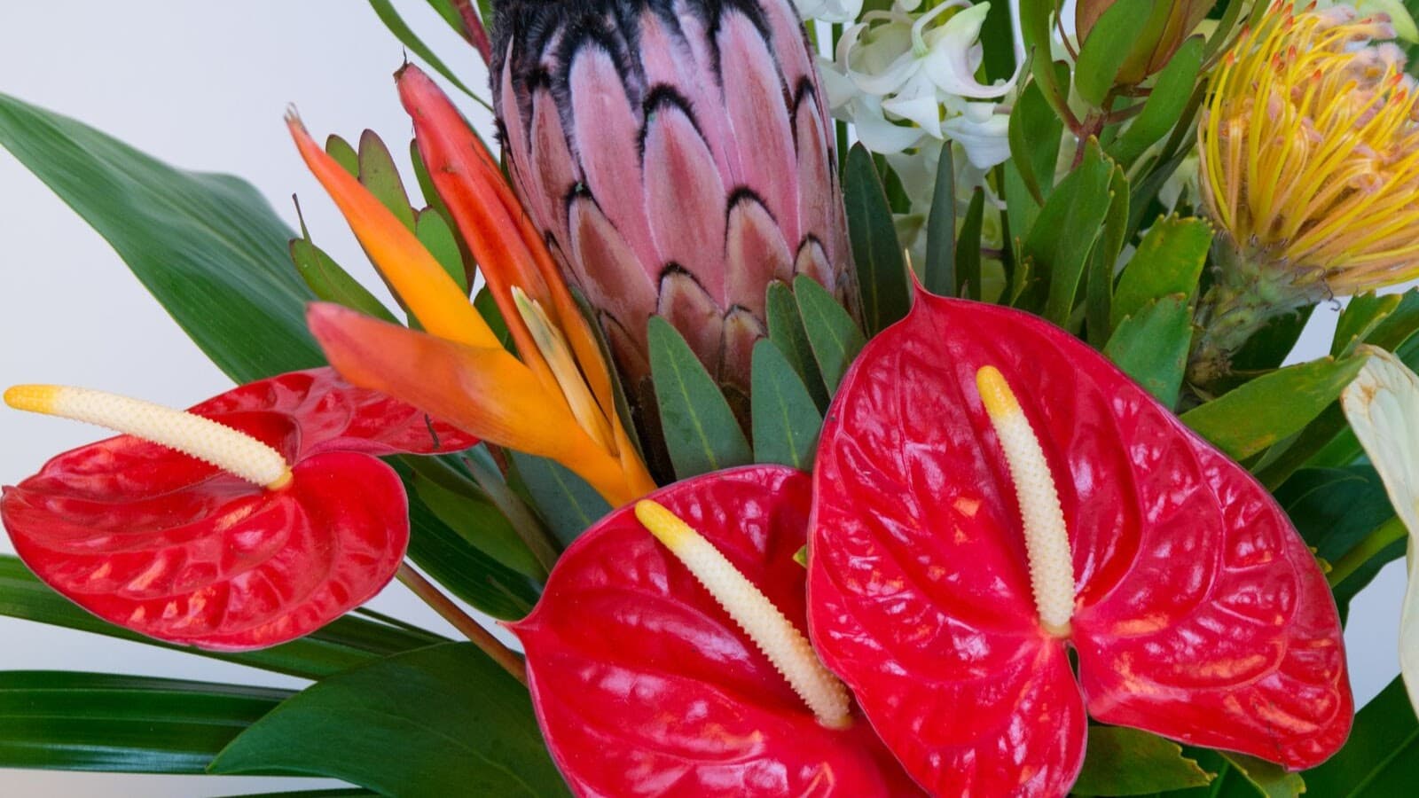 Alii Flowers - Image 1