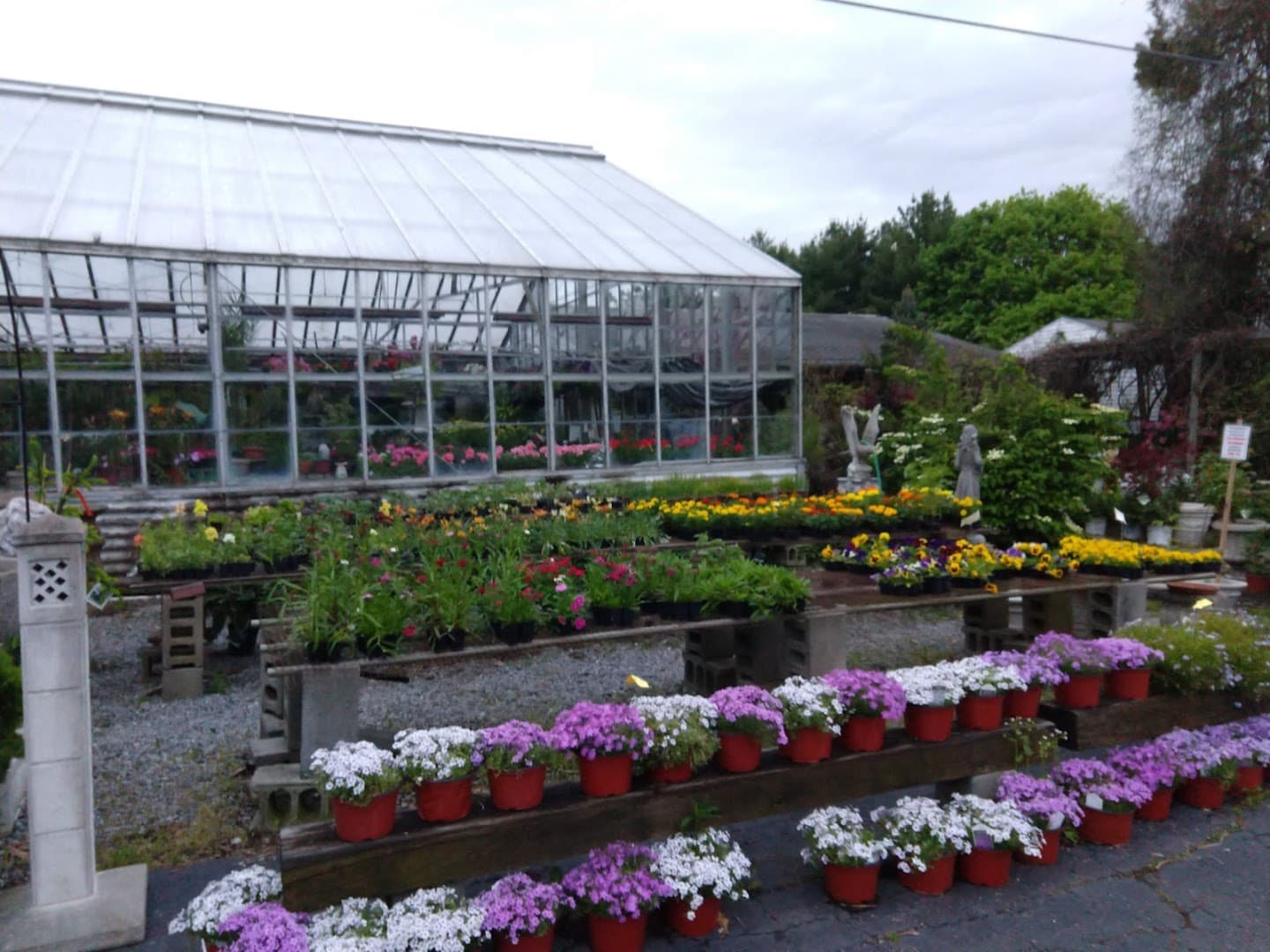 Rizzo's Greenhouse & Flower Shop - Image 1