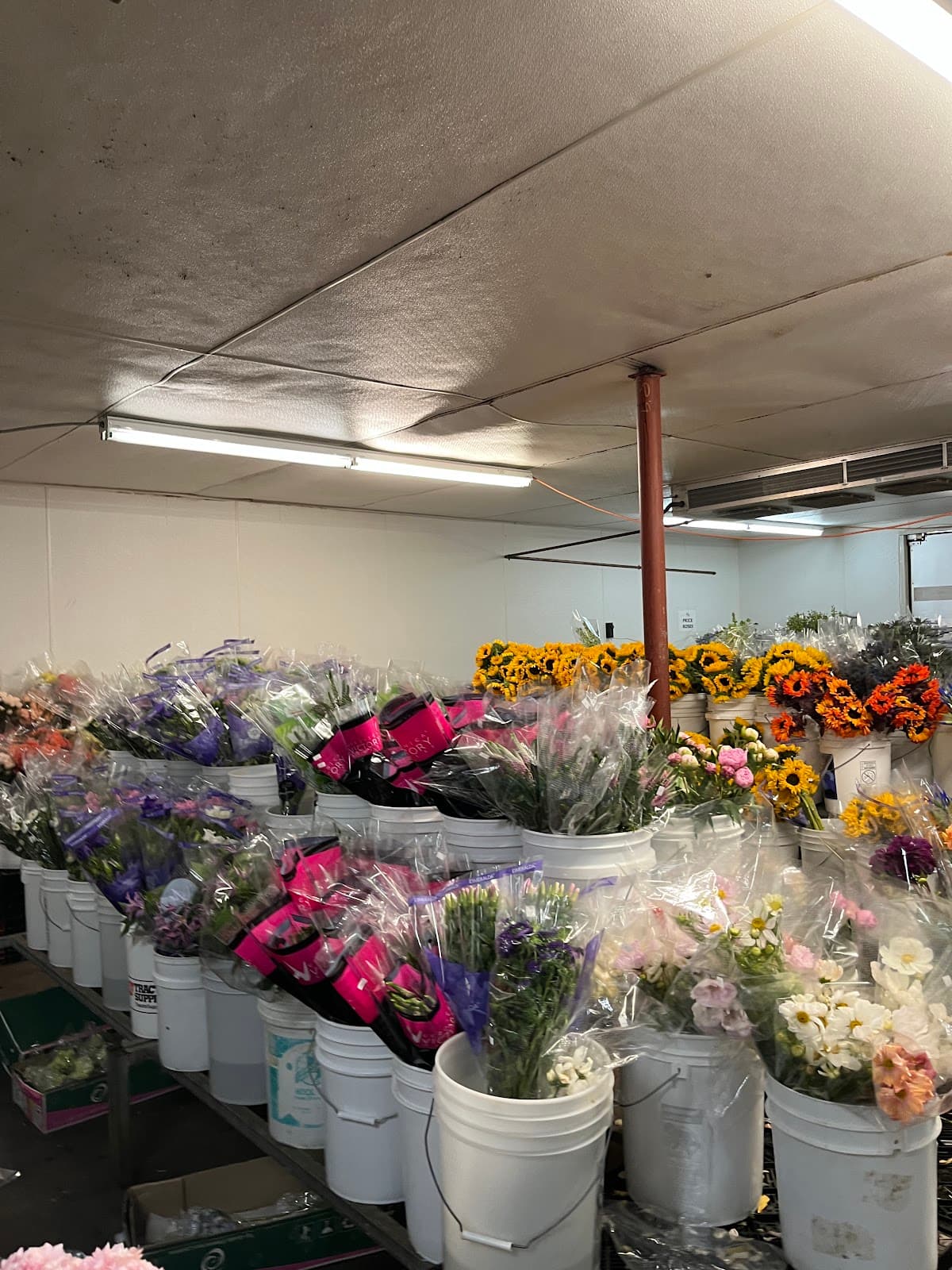 Stevens and Son Wholesale Florist - Image 1