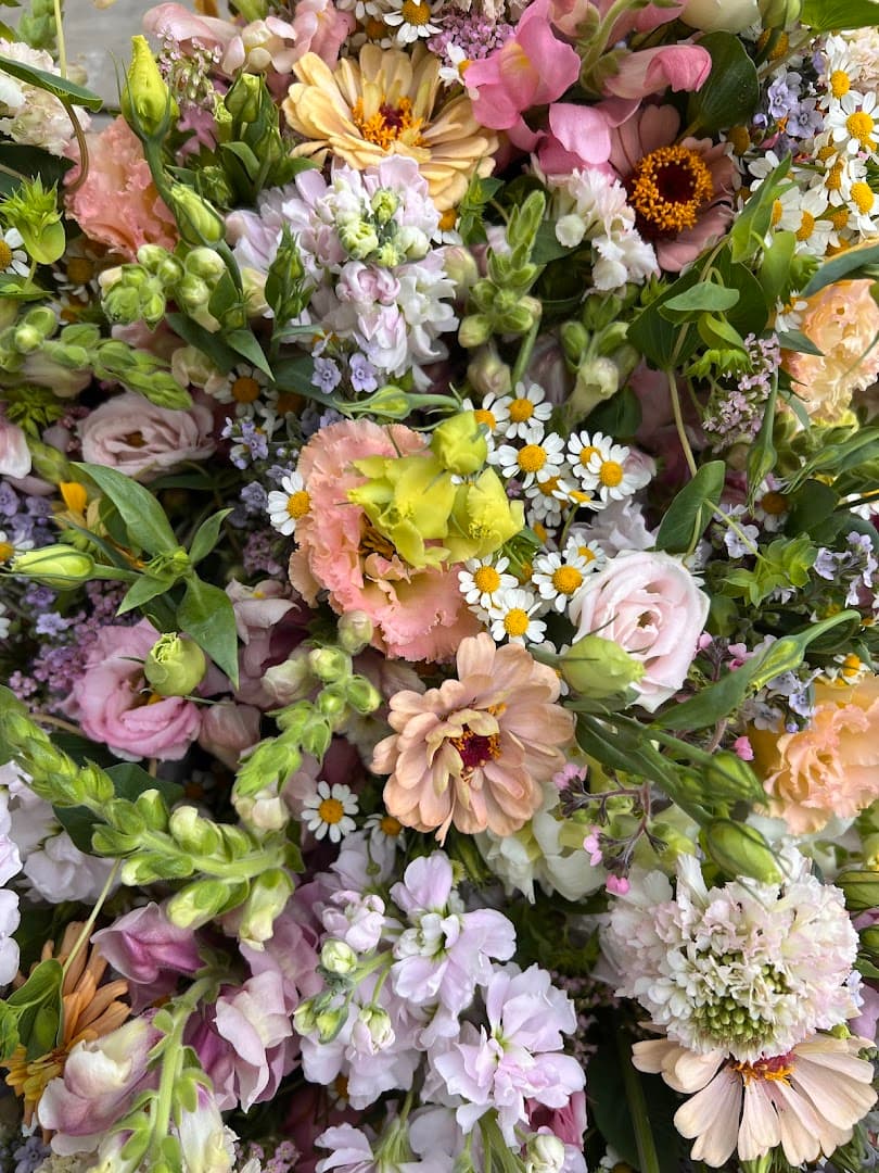 Full Moon Blooms - Image 1