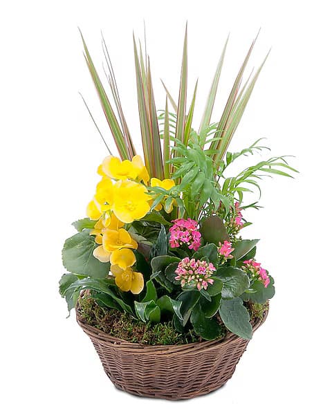 Renning's Florist & Flower Delivery - Image 1