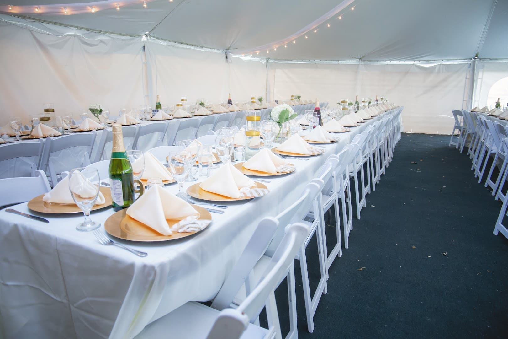 Feather Nursery & Greenhouse - Image 1