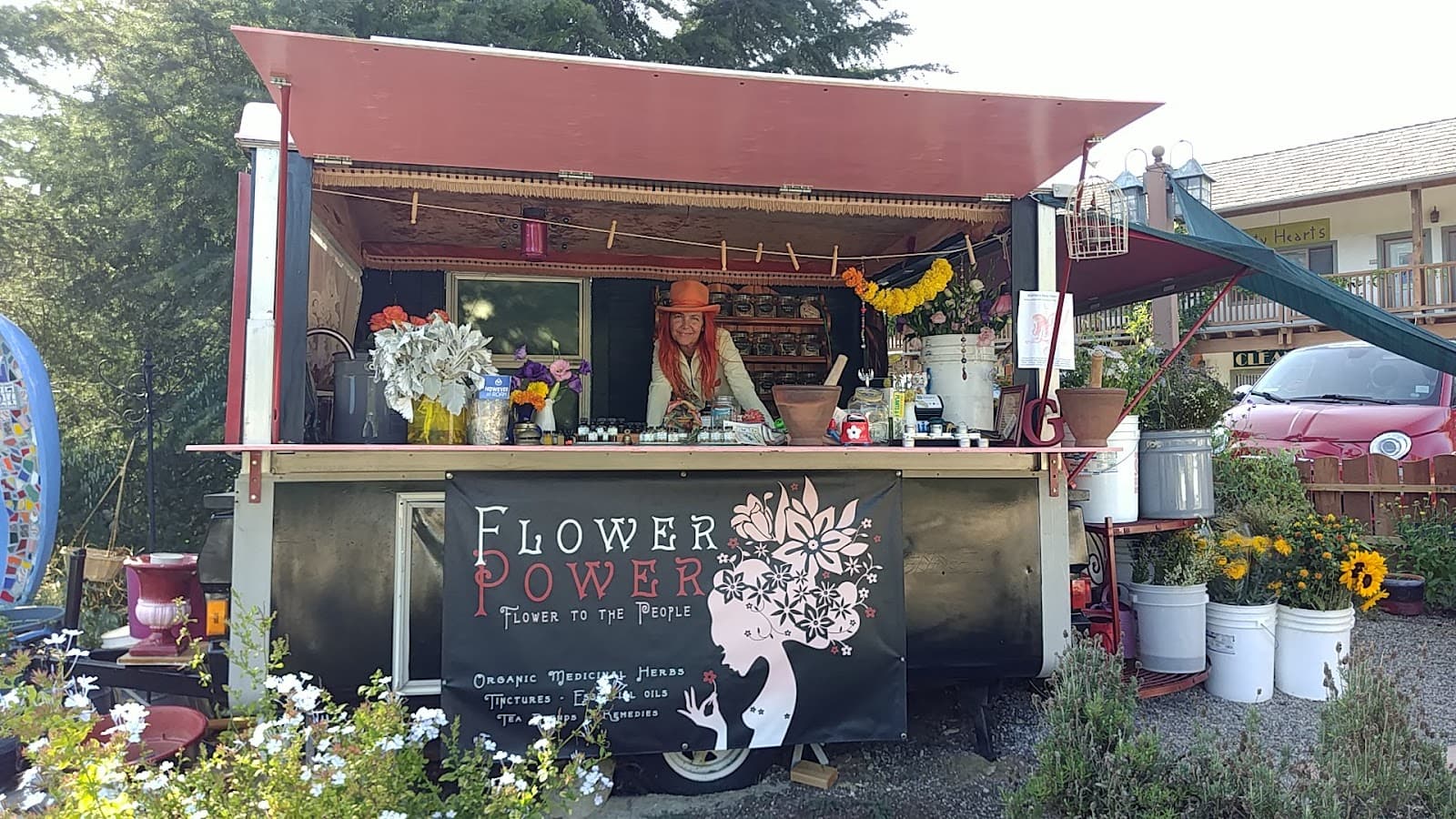 Flower Power - Image 1