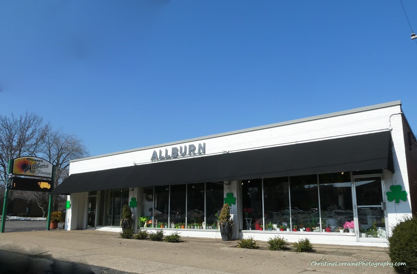 Allburn Florist - Image 1
