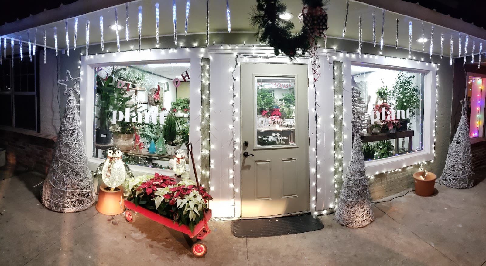 PLANT: A Lifestyle Florist & Events - Image 1