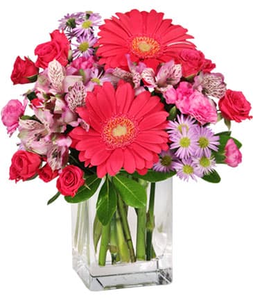 Amanda's Arrangements - Image 1