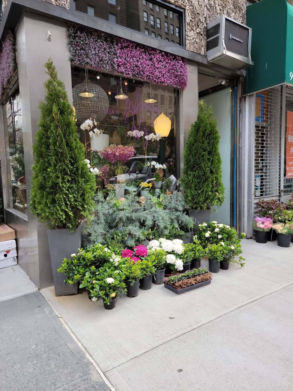 Design By Anthony Ortiz - Image 1