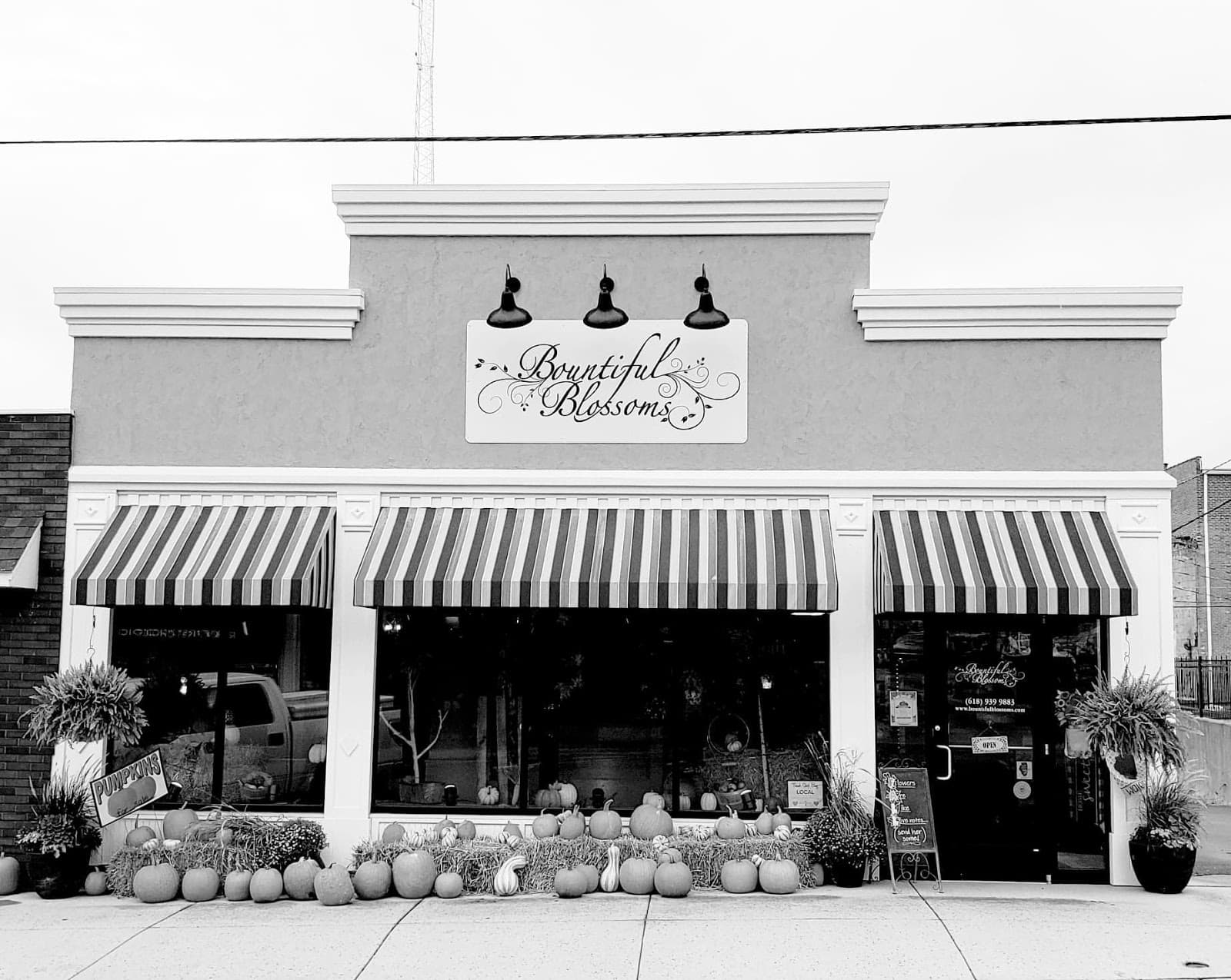 Bountiful Blossoms - Image 1