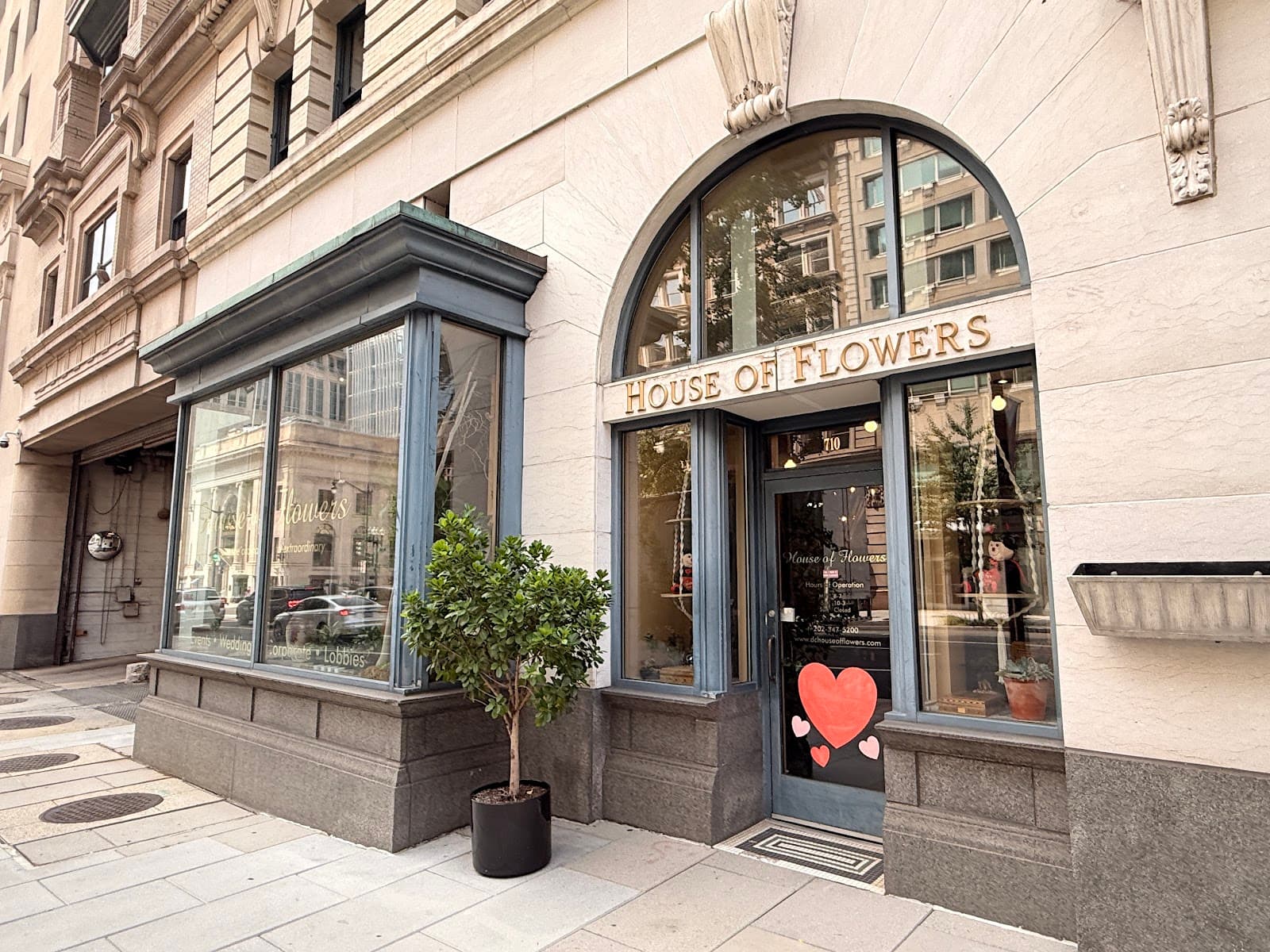 House of Flowers - Image 1