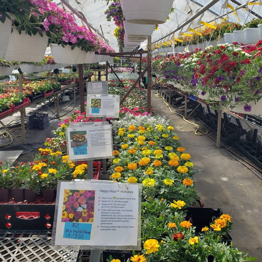 Corinne's Flower Farm - Image 1