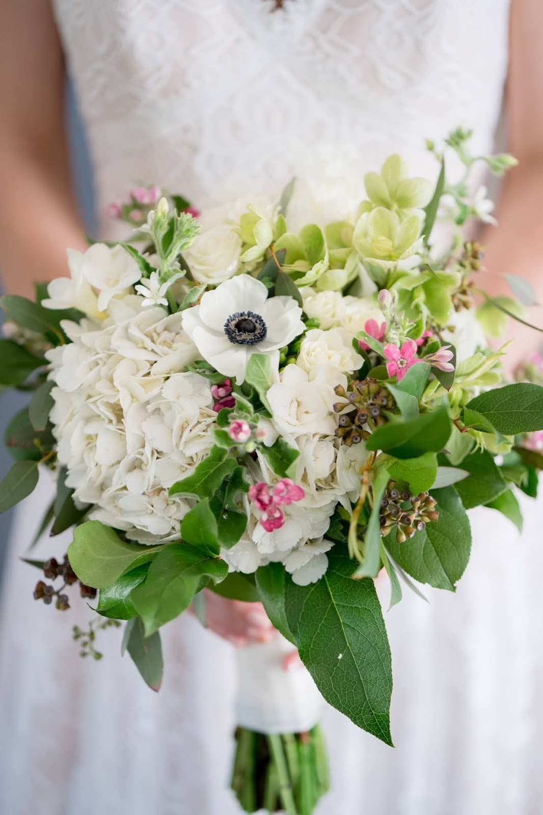 Flora Cape Cod - Image 1