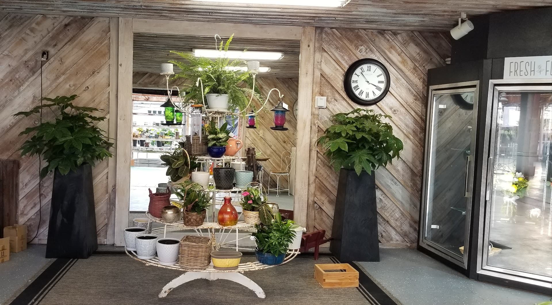 Buffalo Gardens - Image 1