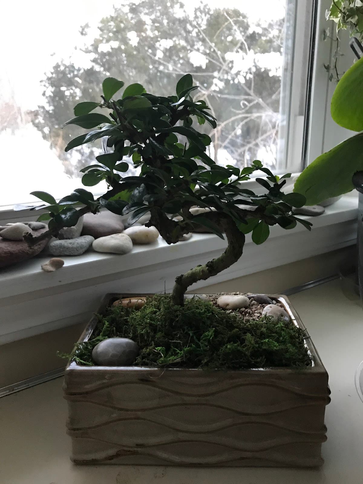 Spring Lake Flower Shop - Image 1