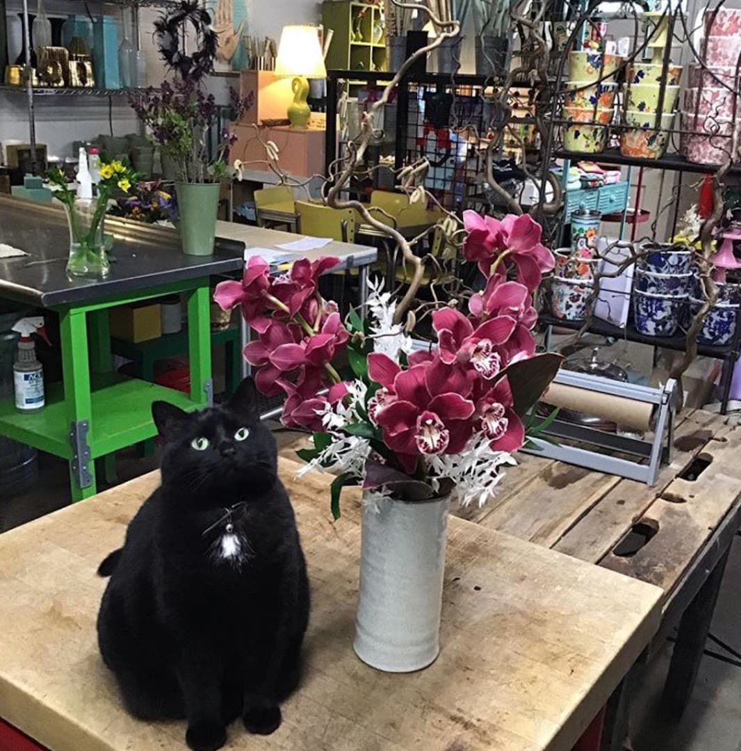 A Date With Iris - Image 1