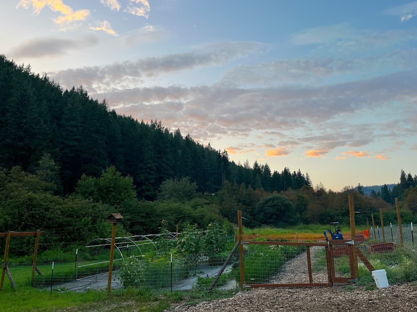 Leavenworth Flowers - Image 1