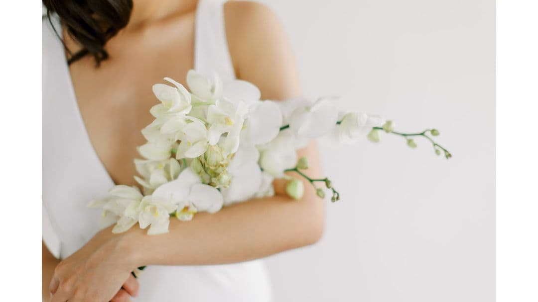 Stem Botanic - Image 1