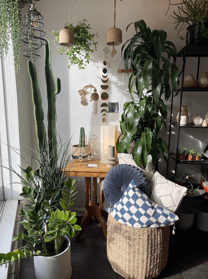 Fern and Bloom Denver - Image 1