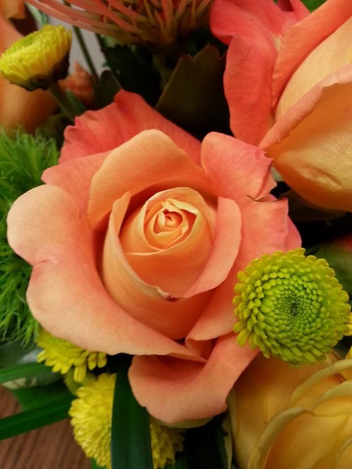 Park Avenue Florist - Image 1