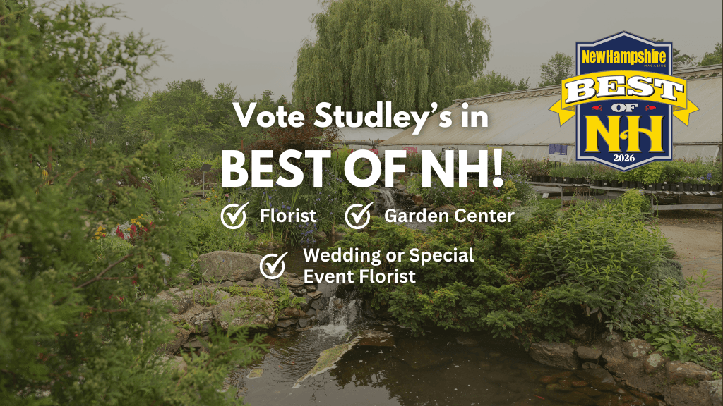 Studley Flower Gardens - Image 1