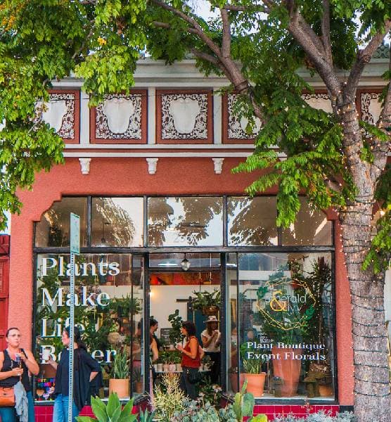 Emerald & Ivy Plant Boutique and Event Florals - Image 1