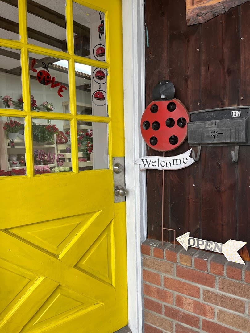 The Ladybug's Garden - Image 1