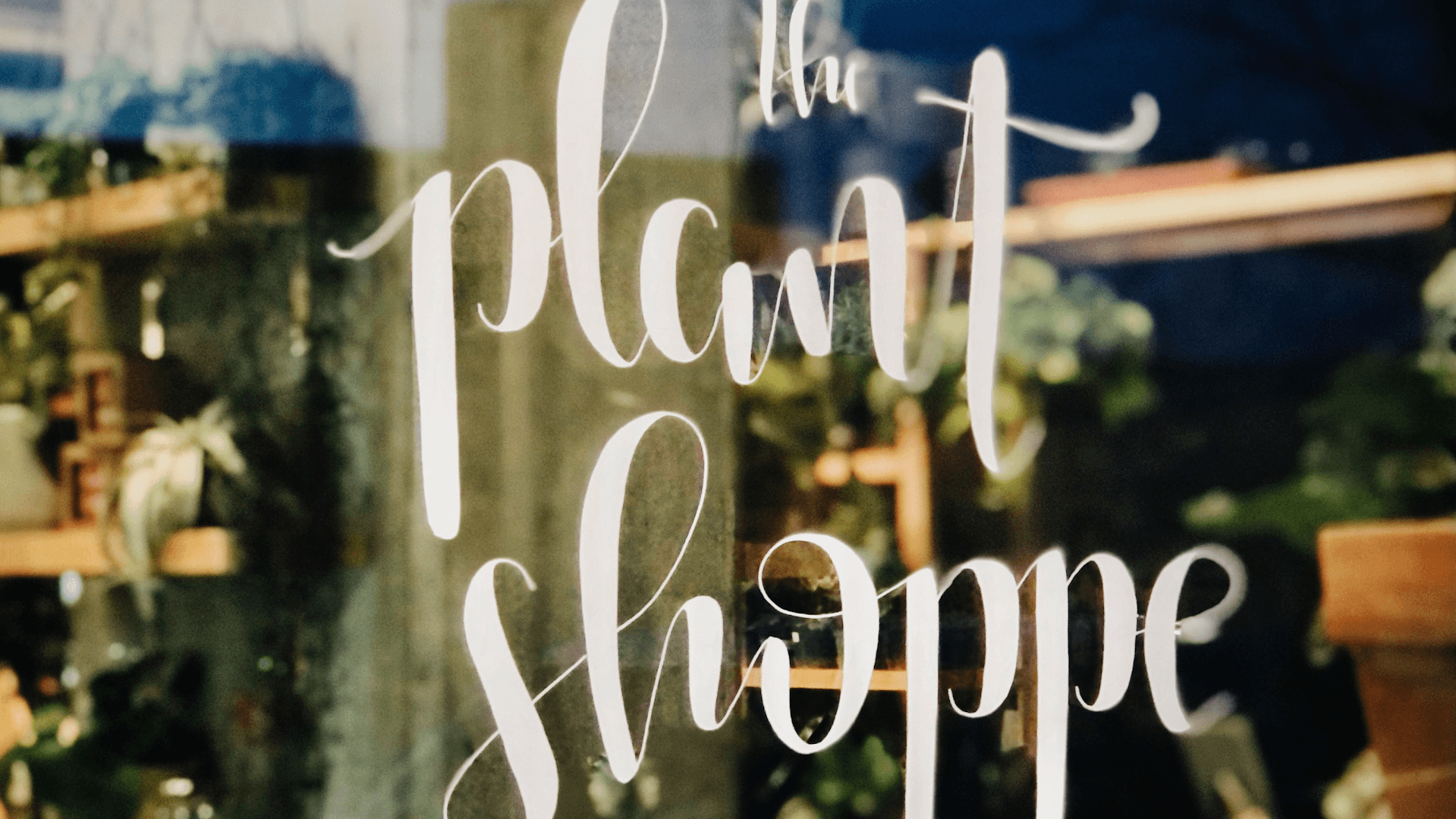 Plant Shoppe at Stitch Cafe – West Village, Downtown OKC - Image 1
