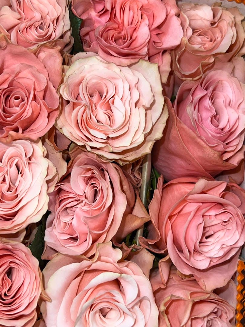 Flower Depot Distribution - Image 1