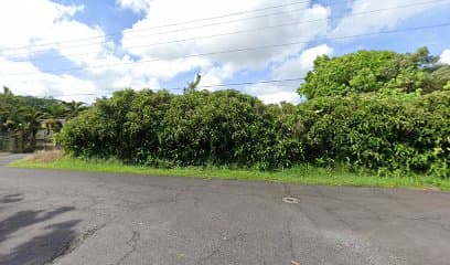 H Eunice Nursery Inc - Image 1
