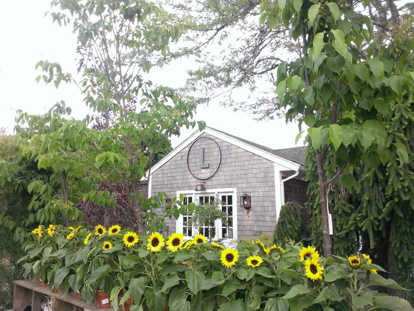 Middletown Nursery - Image 1