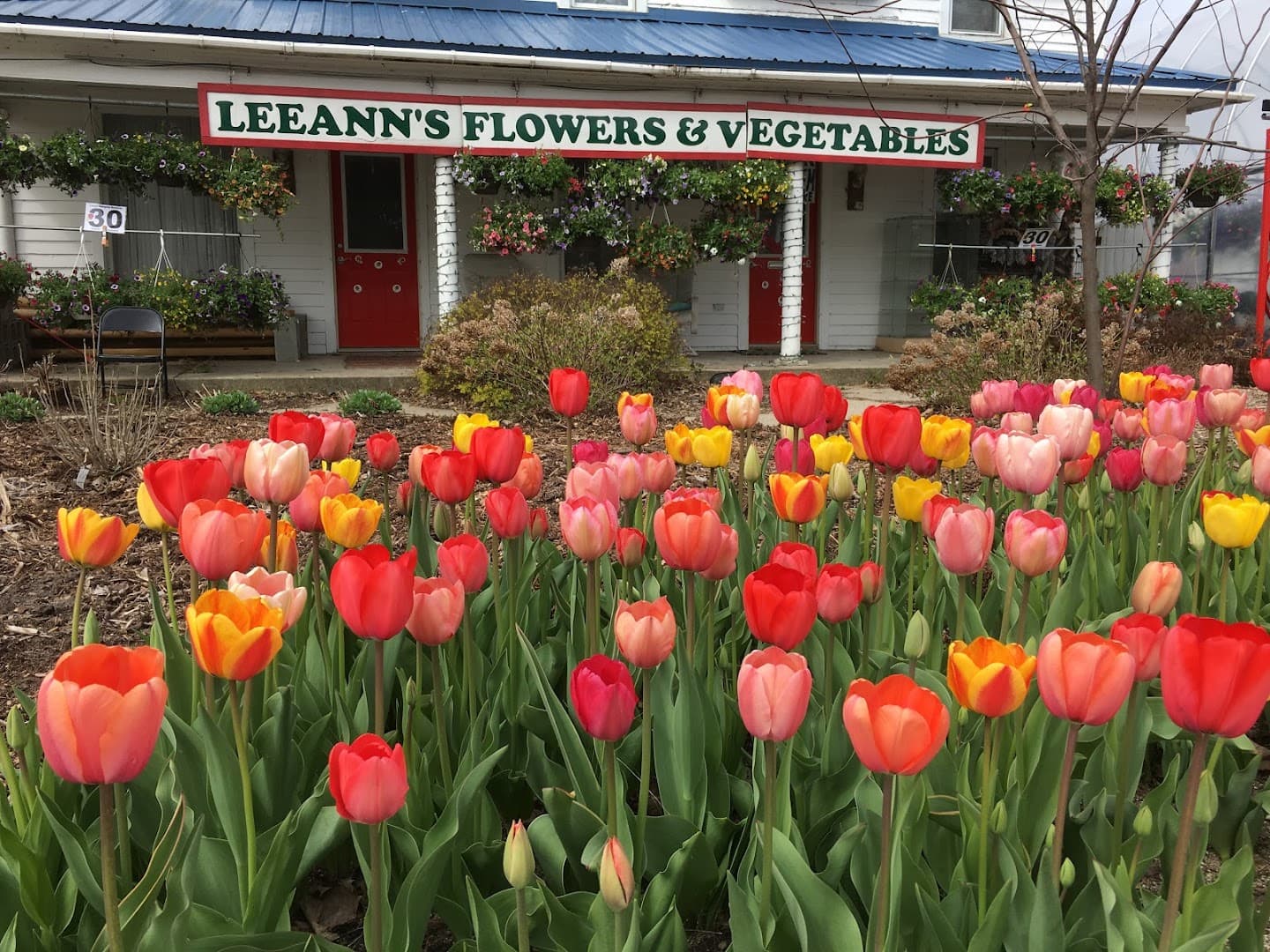 LeeAnn’s Flowers and Vegetables - Image 1