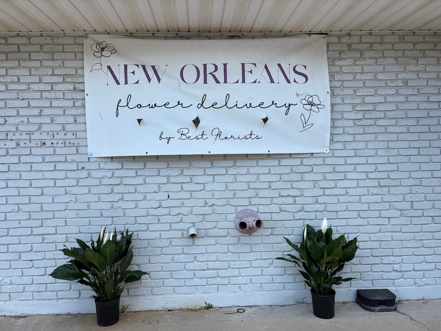 New Orleans Flower Delivery by Best Florists - Image 1