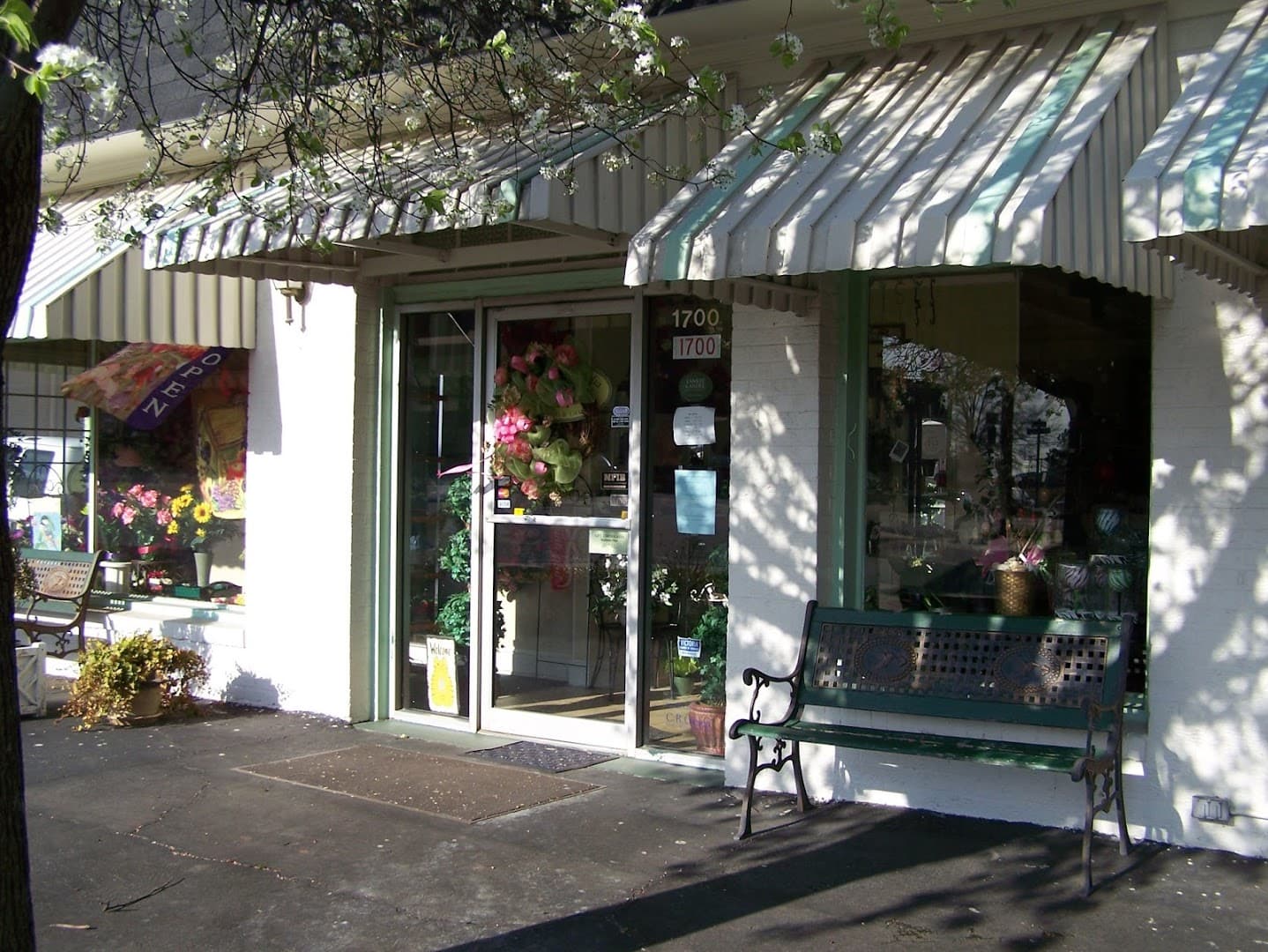 Sweet Magnolia - Image 1