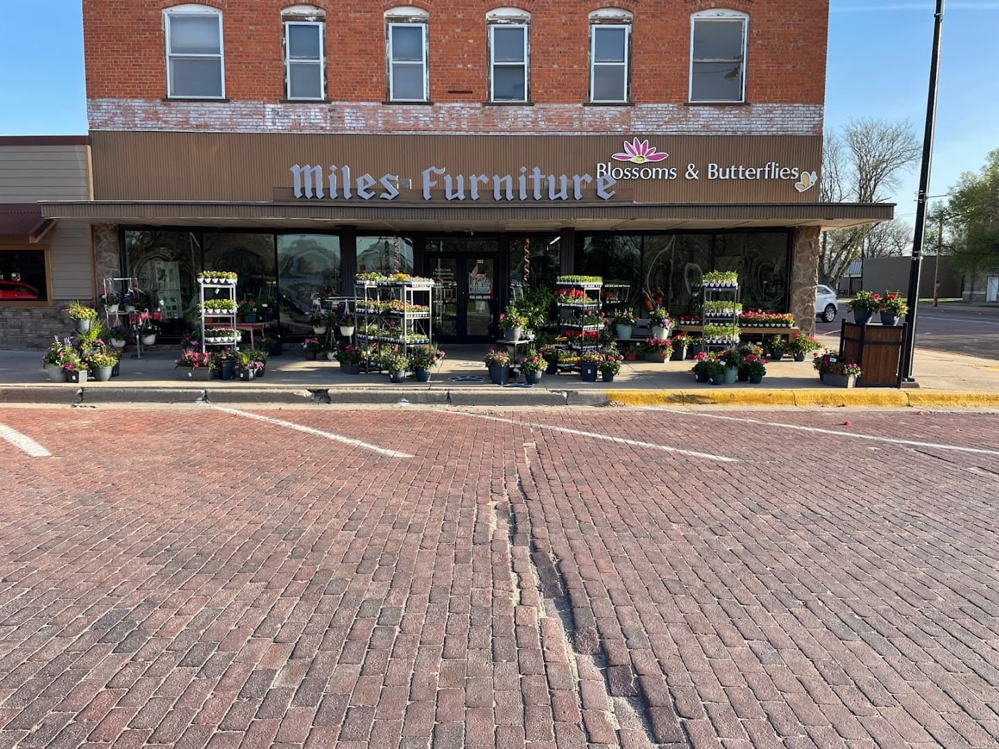 Blossoms and Butterflies - Image 1