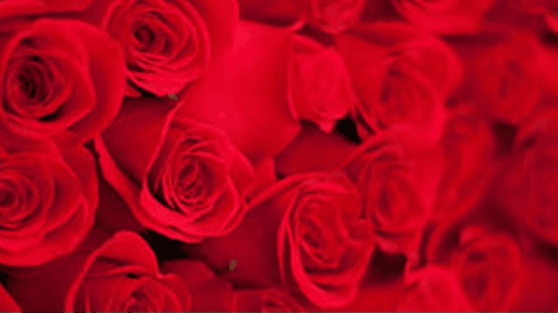 The Bouquet Butler - Image 1