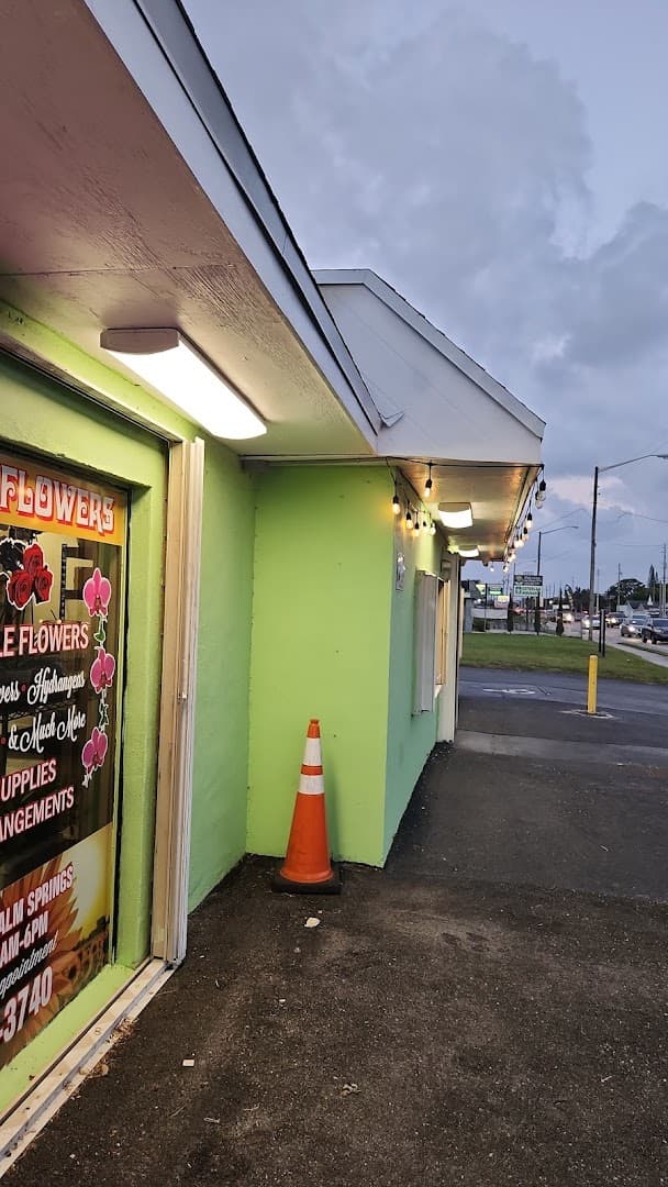 Olivera Flowers - Image 1