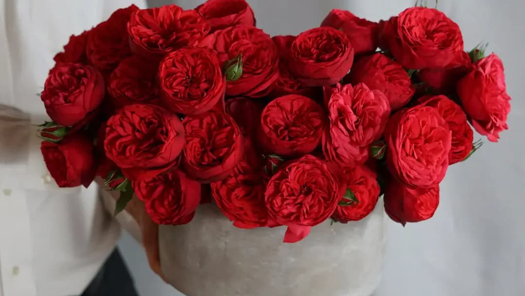 Amelie Flowers&Gifts (Delivery Only) - Image 1