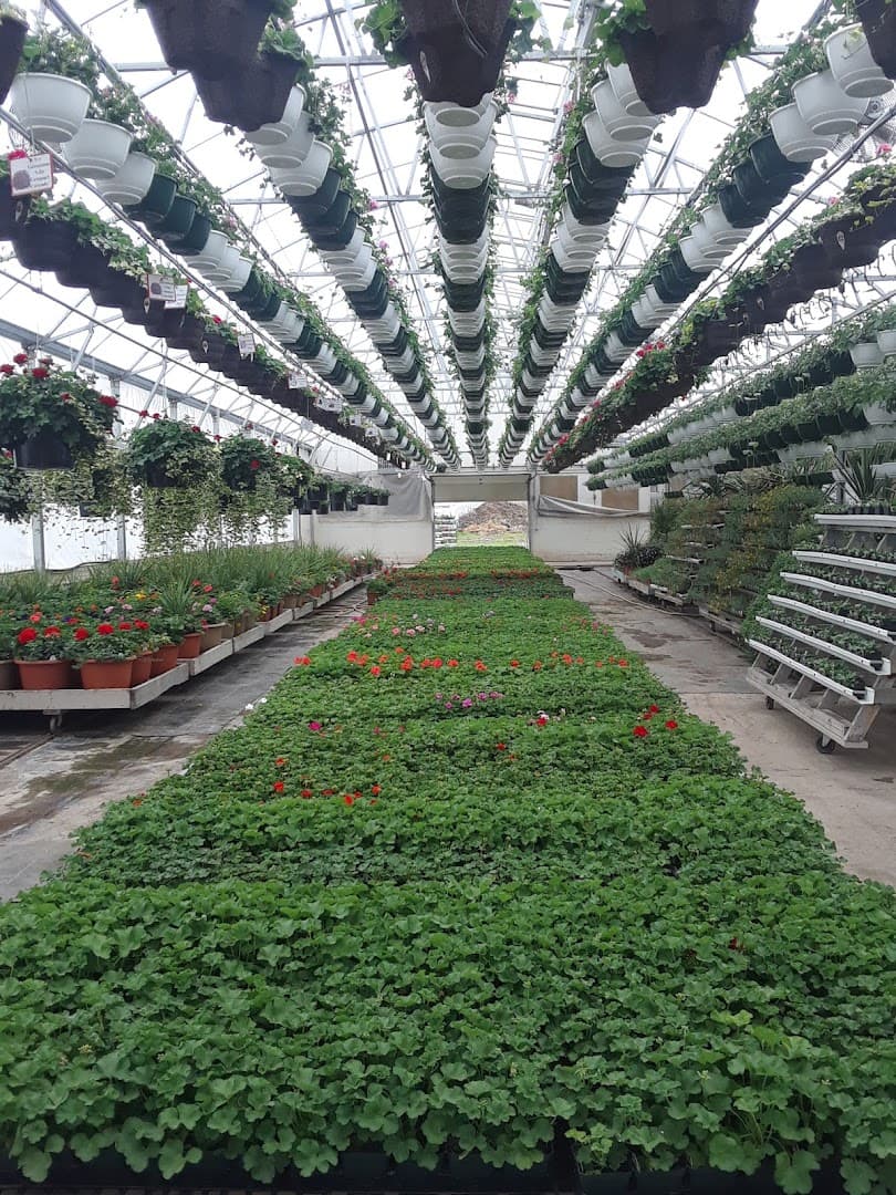 Benson's Farm - Image 1