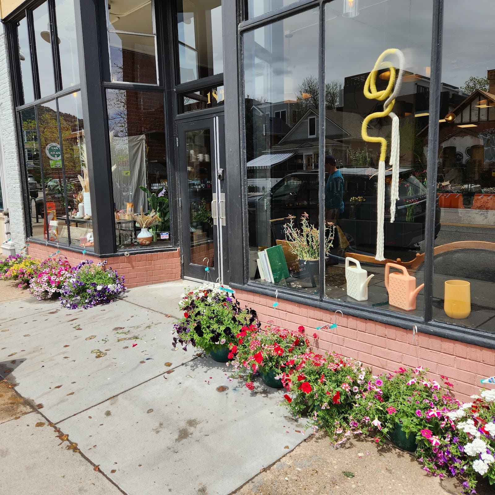 Fiori Flowers - Image 1