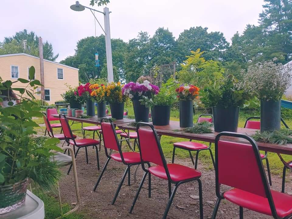 Marston Greenhouses - Image 1