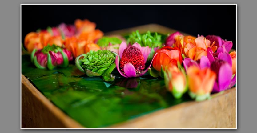 Yellow House Floral (formerly Sue Bridgman Florist) - Image 1