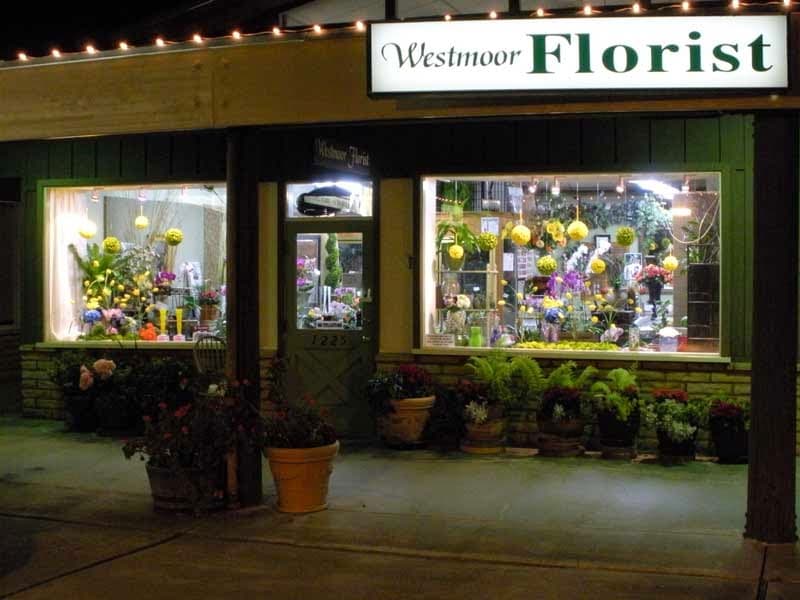 Westmoor Florist - Image 1
