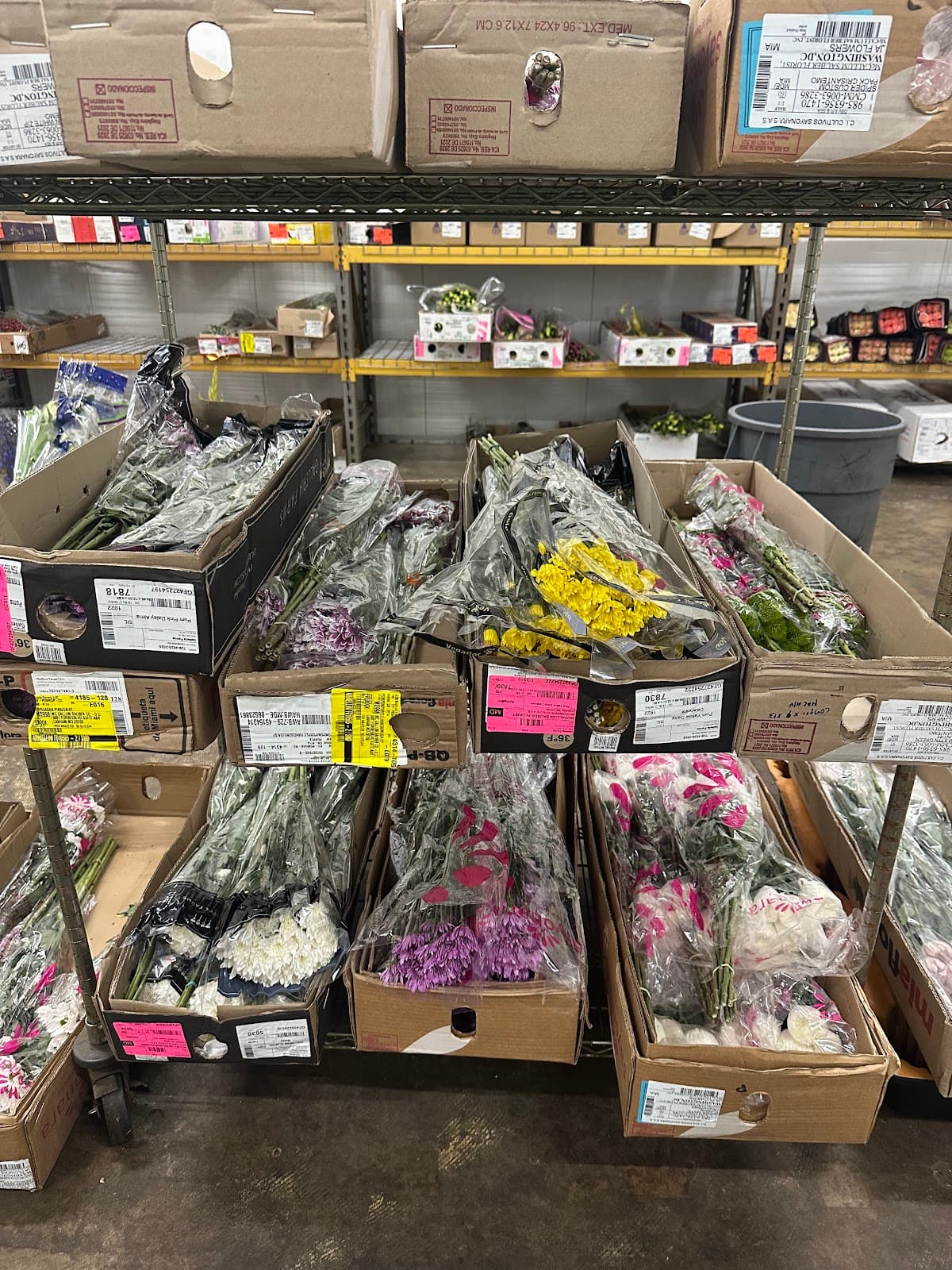McCallum Sauber Wholesale Florist - Image 1