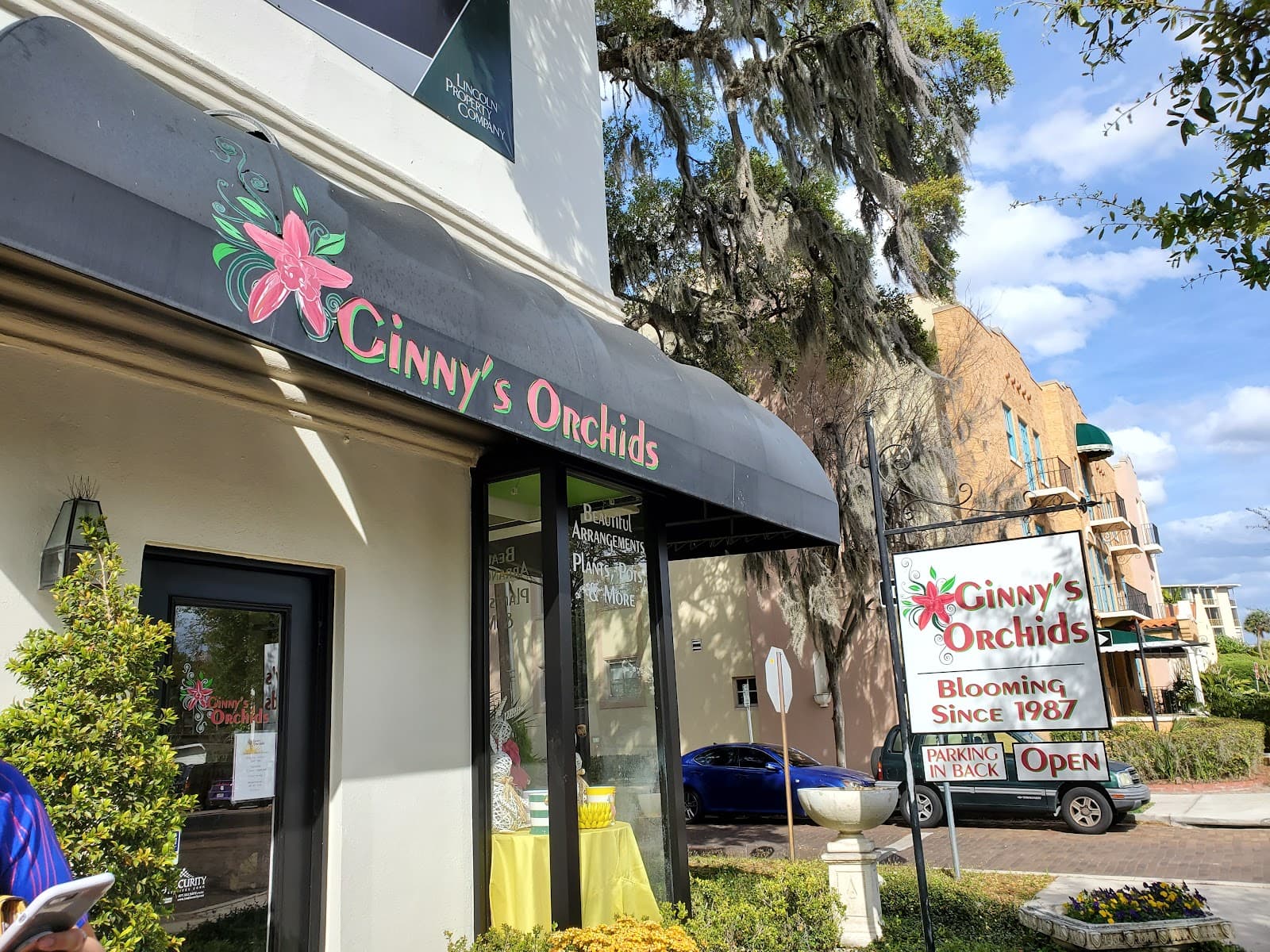 Ginny's Orchids - Image 1