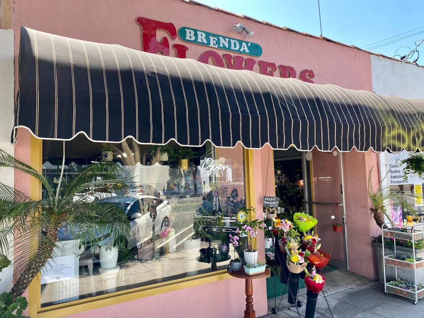 Brenda's Flowers - Image 1