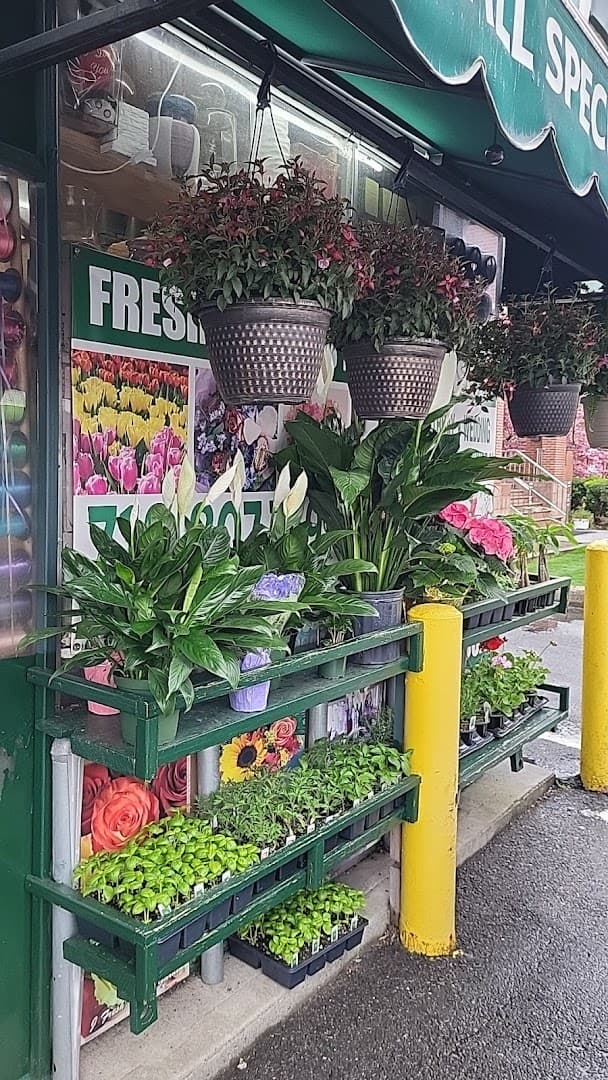 J. Fresh Flowers Garden - Image 1