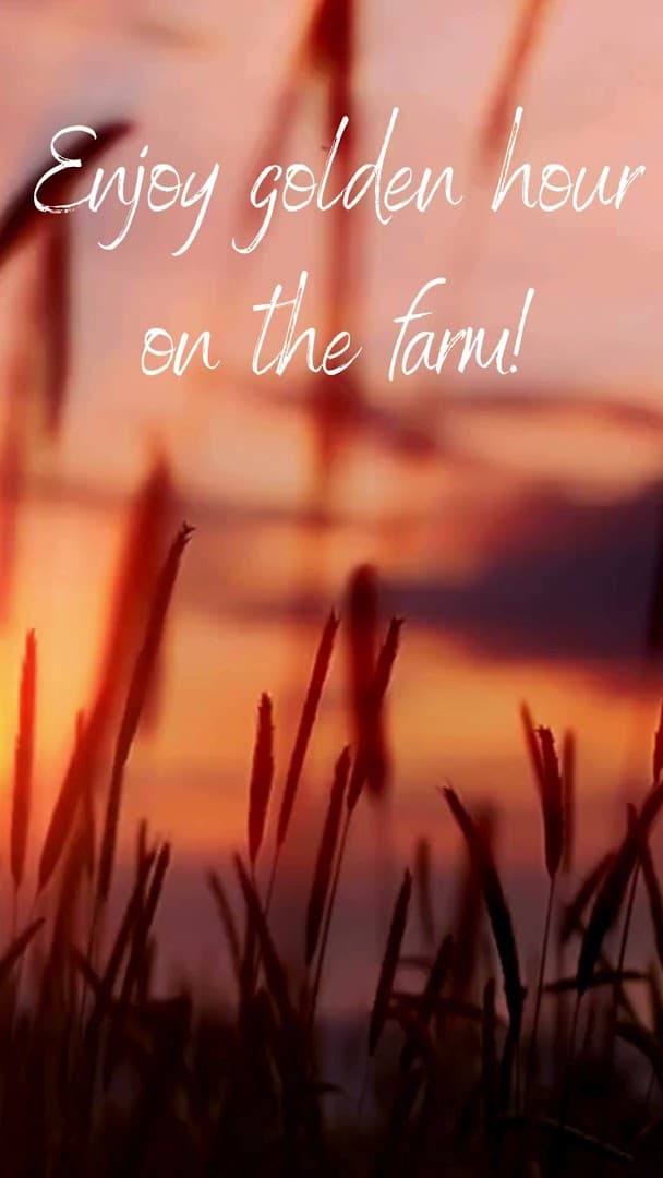 Shepherd's Gate Flowers - Image 1