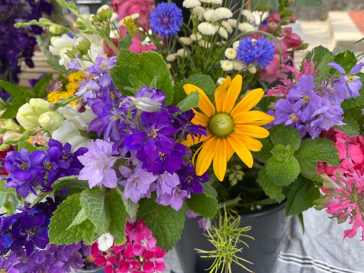 Winding Root Farm - Image 1